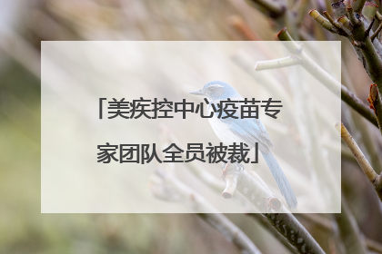 美疾控中心疫苗专家团队全员被裁