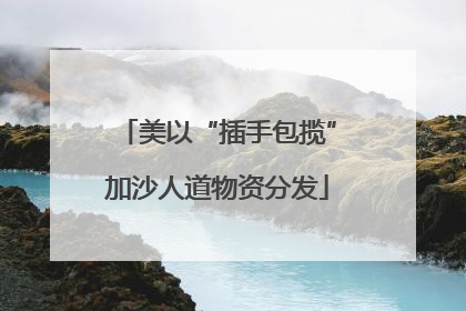 美以“插手包揽”加沙人道物资分发