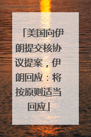 美国向伊朗提交核协议提案，伊朗回应：将按原则适当回应