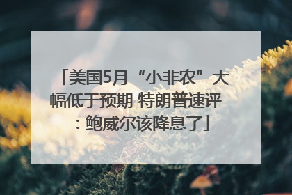 美国5月“小非农”大幅低于预期 特朗普速评：鲍威尔该降息了