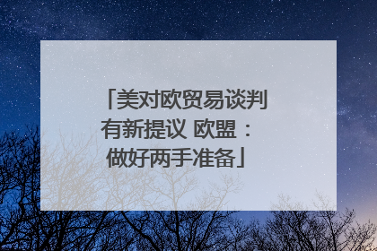 美对欧贸易谈判有新提议 欧盟：做好两手准备