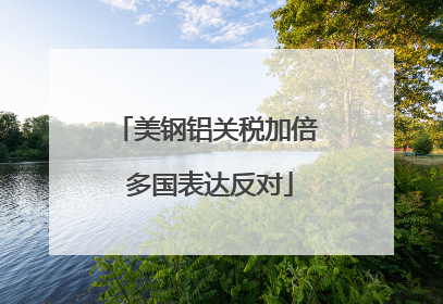 美钢铝关税加倍 多国表达反对