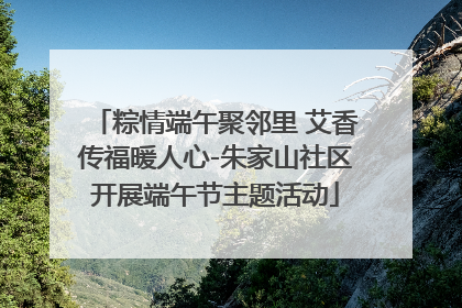 粽情端午聚邻里 艾香传福暖人心-朱家山社区开展端午节主题活动