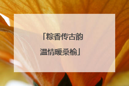 粽香传古韵 温情暖桑榆