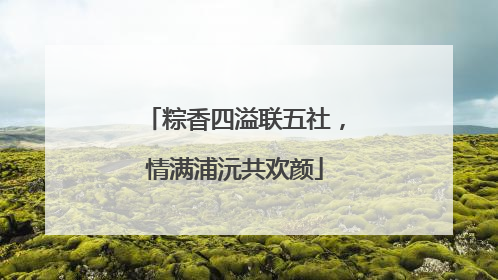 粽香四溢联五社，情满浦沅共欢颜