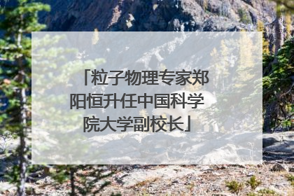 粒子物理专家郑阳恒升任中国科学院大学副校长