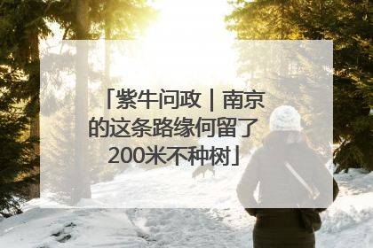 紫牛问政｜南京的这条路缘何留了200米不种树