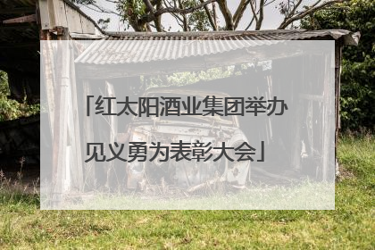 红太阳酒业集团举办见义勇为表彰大会