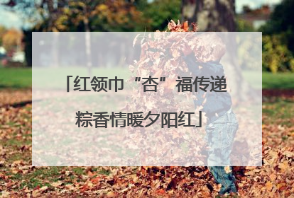 红领巾“杏”福传递 粽香情暖夕阳红