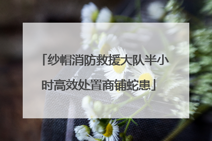 纱帽消防救援大队半小时高效处置商铺蛇患