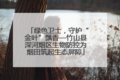 绿色卫士，守护“金叶”飘香—竹山县深河烟区生物防控为烟田筑起生态屏障