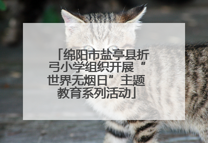 绵阳市盐亭县折弓小学组织开展“世界无烟日”主题教育系列活动