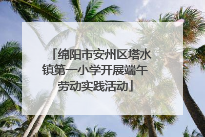 绵阳市安州区塔水镇第一小学开展端午劳动实践活动