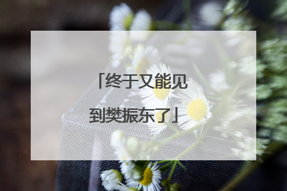 终于又能见到樊振东了
