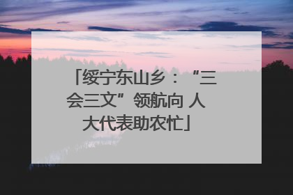 绥宁东山乡：“三会三文”领航向 人大代表助农忙