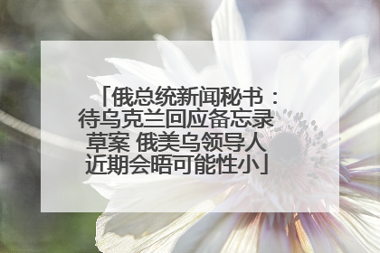 俄总统新闻秘书：待乌克兰回应备忘录草案 俄美乌领导人近期会晤可能性小