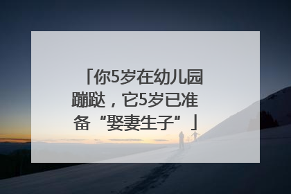 你5岁在幼儿园蹦跶，它5岁已准备“娶妻生子”