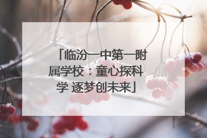 临汾一中第一附属学校：童心探科学 逐梦创未来