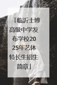 临沂士博高级中学发布学校2025年艺体特长生招生简章