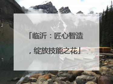 临沂：匠心智造，绽放技能之花