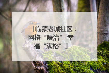 临颍老城社区：网格“暖治” 幸福“满格”