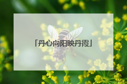 丹心向阳映丹霞