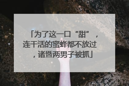 为了这一口“甜”，连干活的蜜蜂都不放过，诸暨两男子被抓