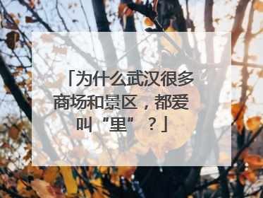 为什么武汉很多商场和景区，都爱叫“里”？