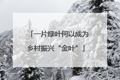 一片绿叶何以成为乡村振兴“金叶”
