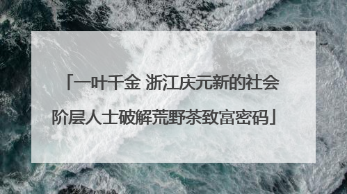 一叶千金 浙江庆元新的社会阶层人士破解荒野茶致富密码