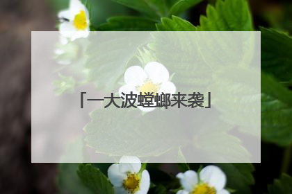 一大波螳螂来袭