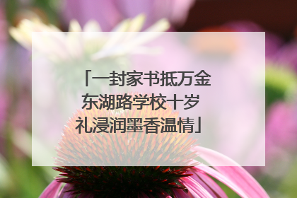 一封家书抵万金 东湖路学校十岁礼浸润墨香温情
