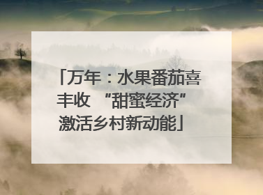万年：水果番茄喜丰收 “甜蜜经济”激活乡村新动能