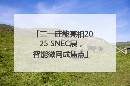 三一硅能亮相2025 SNEC展，智能微网成焦点