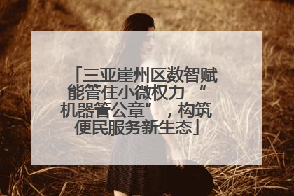 三亚崖州区数智赋能管住小微权力 “机器管公章”，构筑便民服务新生态
