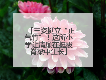 三姿挺立“正气竹”！这所小学让清廉在挺拔脊梁中生长