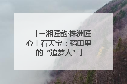 三湘匠韵·株洲匠心丨石天宝：稻田里的“追梦人”