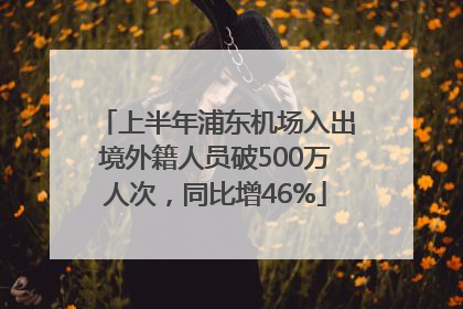 上半年浦东机场入出境外籍人员破500万人次，同比增46%
