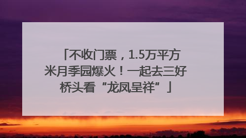 不收门票，1.5万平方米月季园爆火！一起去三好桥头看“龙凤呈祥”