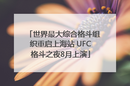 世界最大综合格斗组织重启上海站 UFC格斗之夜8月上演