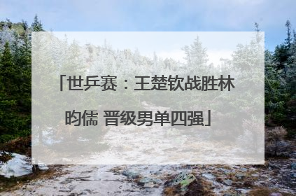世乒赛：王楚钦战胜林昀儒 晋级男单四强