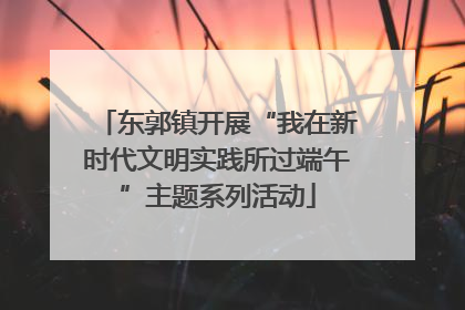 东郭镇开展“我在新时代文明实践所过端午”主题系列活动