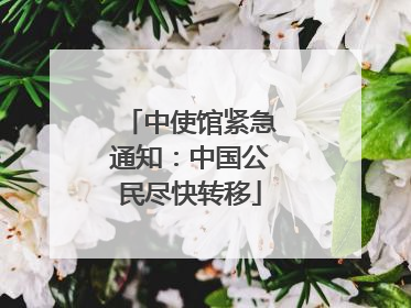 中使馆紧急通知：中国公民尽快转移
