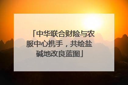 中华联合财险与农服中心携手，共绘盐碱地改良蓝图