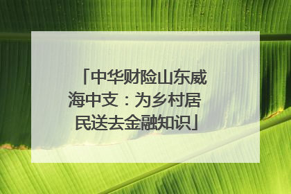 中华财险山东威海中支：为乡村居民送去金融知识