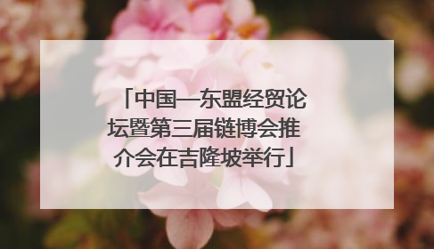 中国—东盟经贸论坛暨第三届链博会推介会在吉隆坡举行