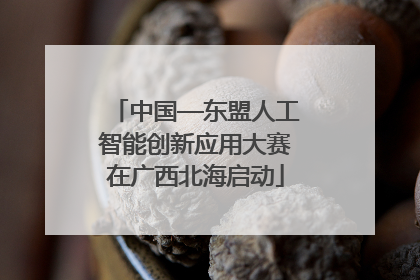 中国—东盟人工智能创新应用大赛在广西北海启动