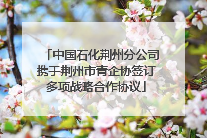 中国石化荆州分公司携手荆州市青企协签订多项战略合作协议
