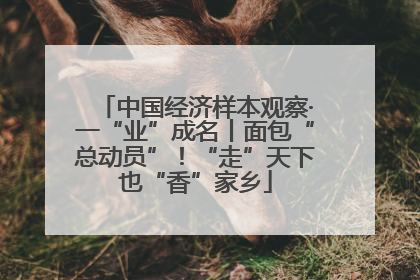 中国经济样本观察·一“业”成名丨面包“总动员”！“走”天下也“香”家乡