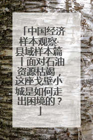 中国经济样本观察·县域样本篇丨面对石油资源枯竭，这座戈壁小城是如何走出困境的？